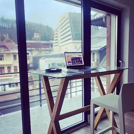 Apartment Ana Sinaia
