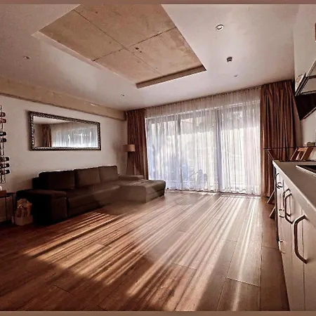 Apartment Ana Sinaia