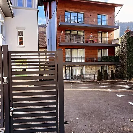 Apartment Ana Sinaia